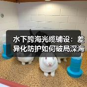 水下跨海光缆铺设：差异化防护如何破局深海挑战？（图2）