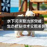 水下河床整治新突破：生态修复技术实现差异化河道复苏