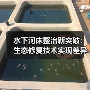 水下河床整治新突破：生态修复技术实现差异化河道复苏（图3）