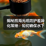 揭秘跨海光缆防护差异化策略：如何确保水下工程安全？（图2）