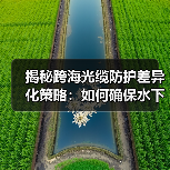 揭秘跨海光缆防护差异化策略：如何确保水下工程安全？