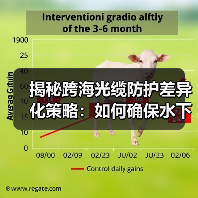 揭秘跨海光缆防护差异化策略：如何确保水下工程安全？（图3）