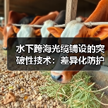 水下跨海光缆铺设的突破性技术：差异化防护如何实现高效安全？（图2）