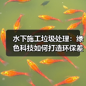 水下施工垃圾处理：绿色科技如何打造环保差异竞争力？（图4）
