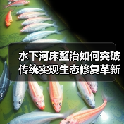 水下河床整治如何突破传统实现生态修复革新（图2）