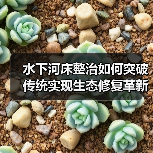 水下河床整治如何突破传统实现生态修复革新
