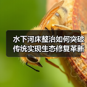 水下河床整治如何突破传统实现生态修复革新（图3）