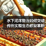 水下河床整治如何突破传统实现生态修复革新（图4）