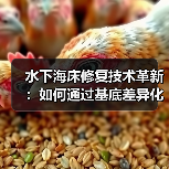 水下海床修复技术革新：如何通过基底差异化解锁海洋生态新可能？（图3）