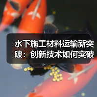 水下施工材料运输新突破：创新技术如何突破传统难题？