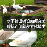 水下管道铺设如何突破传统？创新差异化技术揭秘（图3）