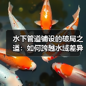 水下管道铺设的破局之道：如何跨越水域差异挑战（图3）