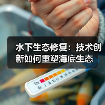 水下生态修复：技术创新如何重塑海底生态（图3）