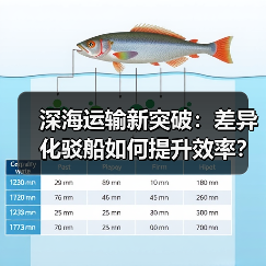 深海运输新突破：差异化驳船如何提升效率？（图2）