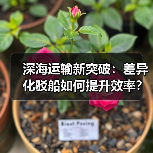 深海运输新突破：差异化驳船如何提升效率？