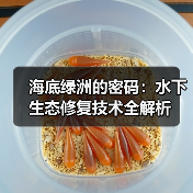 海底绿洲的密码：水下生态修复技术全解析（图4）