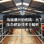 海底绿洲的密码：水下生态修复技术全解析（图3）