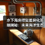 水下海床修复差异化策略揭秘：未来海洋生态逆转的关键（图2）