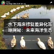 水下海床修复差异化策略揭秘：未来海洋生态逆转的关键（图4）
