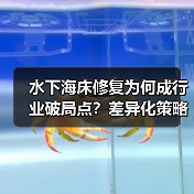 水下海床修复为何成行业破局点？差异化策略如何重塑海底生态？
