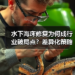 水下海床修复为何成行业破局点？差异化策略如何重塑海底生态？（图2）