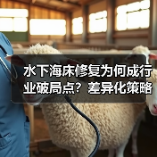 水下海床修复为何成行业破局点？差异化策略如何重塑海底生态？（图4）