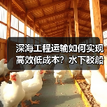 深海工程运输如何实现高效低成本？水下驳船运输引领差异化新趋势（图3）