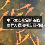 水下生态修复新策略:差异方案如何实现精准高效修复?(图4) 水下生态修复新策略:差异方案如何实现精准高效修复?(图4)
