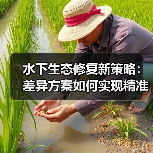 水下生态修复新策略:差异方案如何实现精准高效修复?(图3) 水下生态修复新策略:差异方案如何实现精准高效修复?(图3)