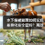 水下爆破监理如何实现差异化安全管控?高效策略解析(图4) 水下爆破监理如何实现差异化安全管控?高效策略解析(图4)