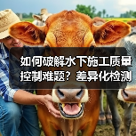如何破解水下施工质量控制难题？差异化检测技术带来突破性变革