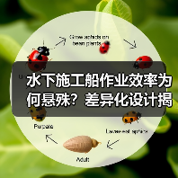 水下施工船作业效率为何悬殊？差异化设计揭示行业竞争密码（图4）