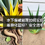 水下爆破监理如何实现差异化管控?安全效率双提升的核心策略(图3) 水下爆破监理如何实现差异化管控?安全效率双提升的核心策略(图3)