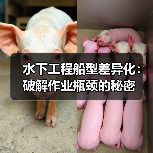 水下工程船型差异化:破解作业瓶颈的秘密(图2) 水下工程船型差异化:破解作业瓶颈的秘密(图2)