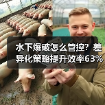 水下爆破怎么管控?差异化策略提升效率63%(图1) 水下爆破怎么管控?差异化策略提升效率63%(图1)