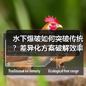 水下爆破如何突破传统?差异化方案破解效率与安全难题(图4) 水下爆破如何突破传统?差异化方案破解效率与安全难题(图4)