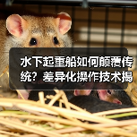 水下起重船如何颠覆传统?差异化操作技术揭秘与行业秘密解析(图3) 水下起重船如何颠覆传统?差异化操作技术揭秘与行业秘密解析(图3)