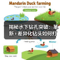 揭秘水下钻孔突破:革新+差异化钻头如何打造精准工程?(图1) 揭秘水下钻孔突破:革新+差异化钻头如何打造精准工程?(图1)