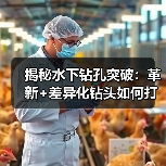 揭秘水下钻孔突破:革新+差异化钻头如何打造精准工程?(图4) 揭秘水下钻孔突破:革新+差异化钻头如何打造精准工程?(图4)