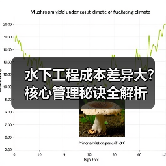 水下工程成本差异大?核心管理秘诀全解析(图3) 水下工程成本差异大?核心管理秘诀全解析(图3)