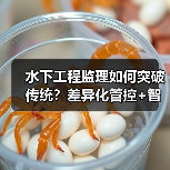 水下工程监理如何突破传统?差异化管控+智能升级引领行业变革(图1) 水下工程监理如何突破传统?差异化管控+智能升级引领行业变革(图1)