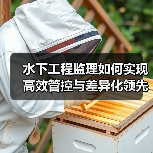 水下工程监理如何实现高效管控与差异化领先?(图3) 水下工程监理如何实现高效管控与差异化领先?(图3)