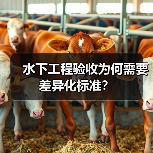 水下工程验收为何需要差异化标准？（图3）