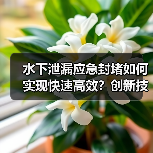 水下泄漏应急封堵如何实现快速高效?创新技术揭秘(图1) 水下泄漏应急封堵如何实现快速高效?创新技术揭秘(图1)