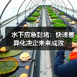 水下应急封堵:快速差异化决定未来成败(图2) 水下应急封堵:快速差异化决定未来成败(图2)