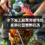 水下施工监理突破传统:差异化管理新机遇(图2) 水下施工监理突破传统:差异化管理新机遇(图2)