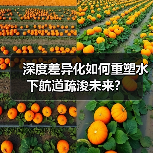 深度差异化如何重塑水下航道疏浚未来?(图2) 深度差异化如何重塑水下航道疏浚未来?(图2)