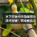 水下应急抢修隐藏哪些技术突破?精准响应成关键(图2) 水下应急抢修隐藏哪些技术突破?精准响应成关键(图2)