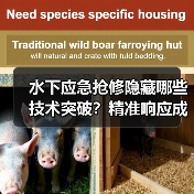 水下应急抢修隐藏哪些技术突破?精准响应成关键(图3) 水下应急抢修隐藏哪些技术突破?精准响应成关键(图3)