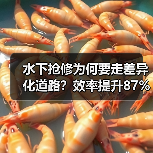 水下抢修为何要走差异化道路？效率提升87%的秘密（图3）